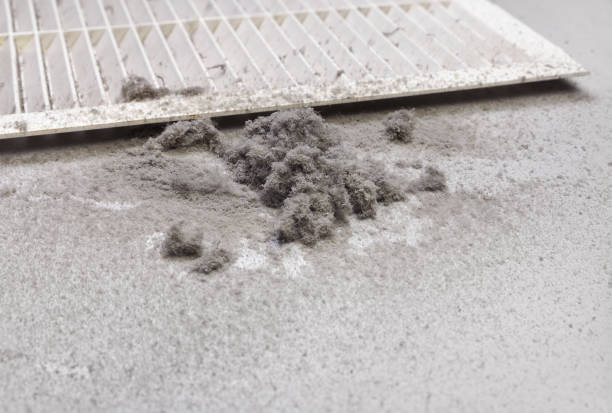 Best Ventilation Cleaning Services  in South Lyon, MI