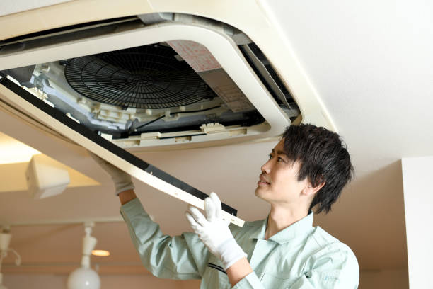 Best Ductwork Cleaning Services  in South Lyon, MI