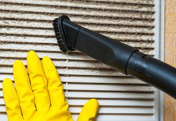 Best Air Duct Cleaning Cost  in South Lyon, MI