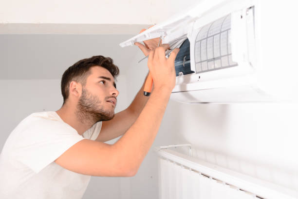 Best Home Air Vent Cleaning  in South Lyon, MI