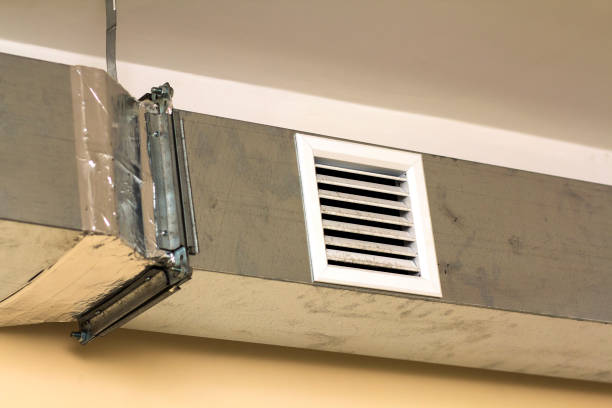 Best Local Air Duct Cleaning Services  in South Lyon, MI