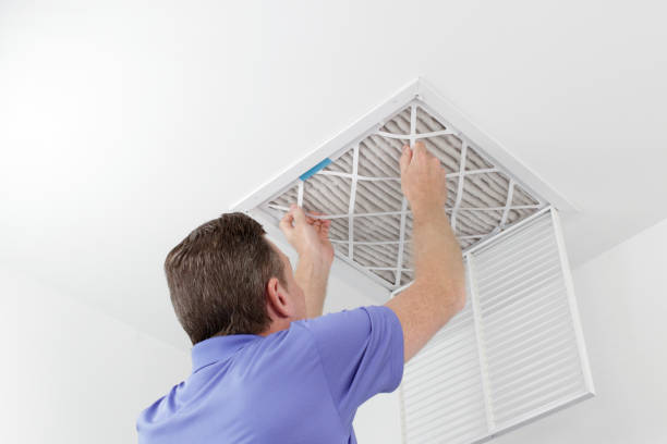 Best Dryer Vent Cleaning Services  in South Lyon, MI